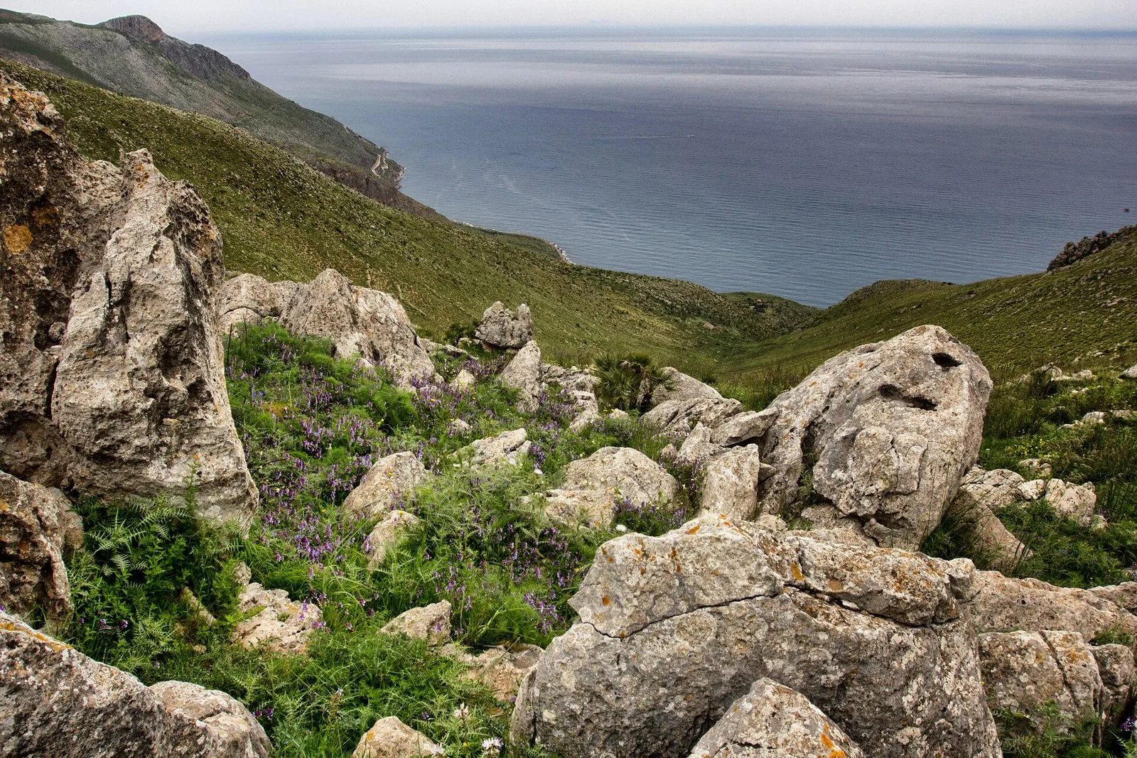 La costa rocciosa della Riserva naturale dello Zingaro